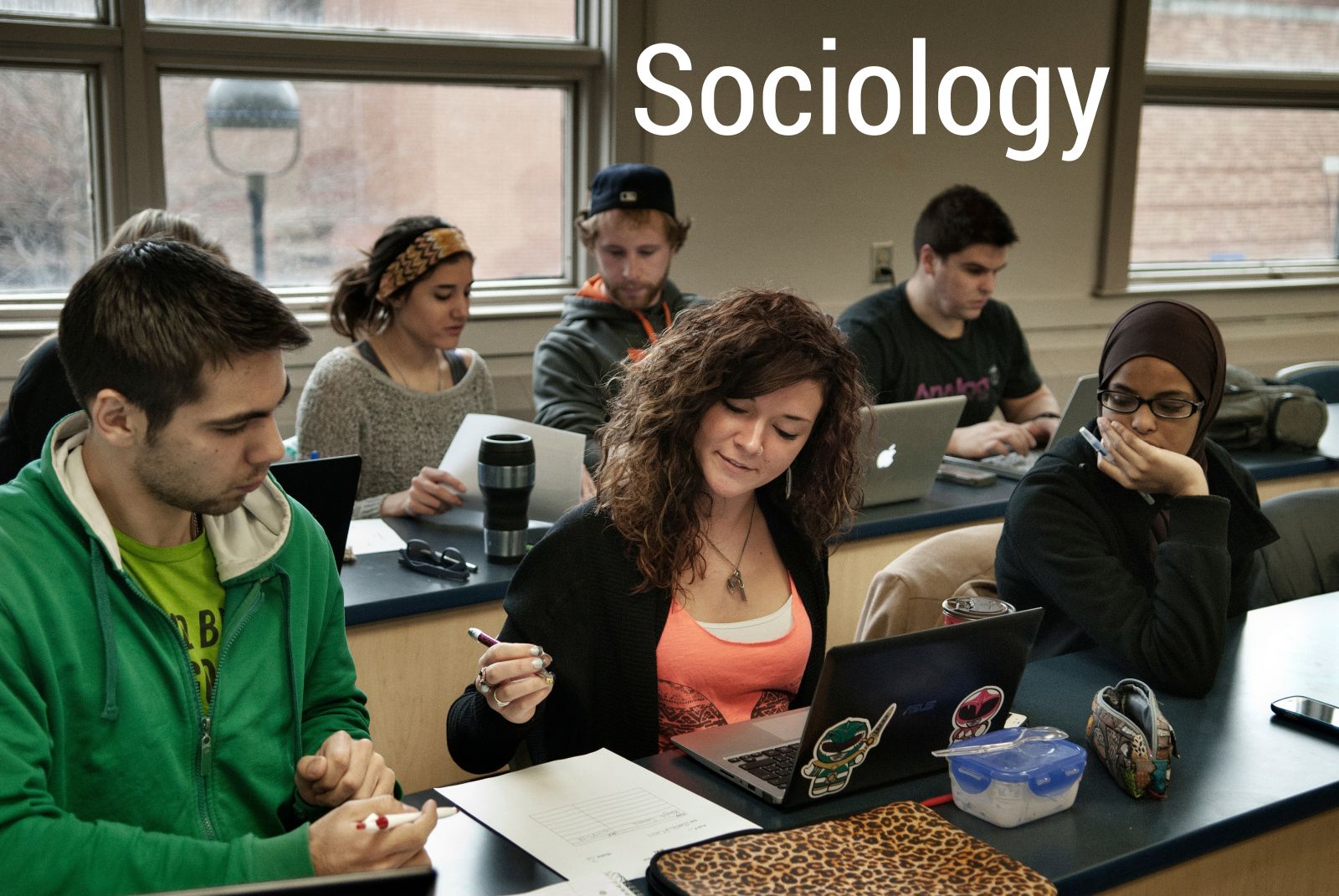 sociology essay topics